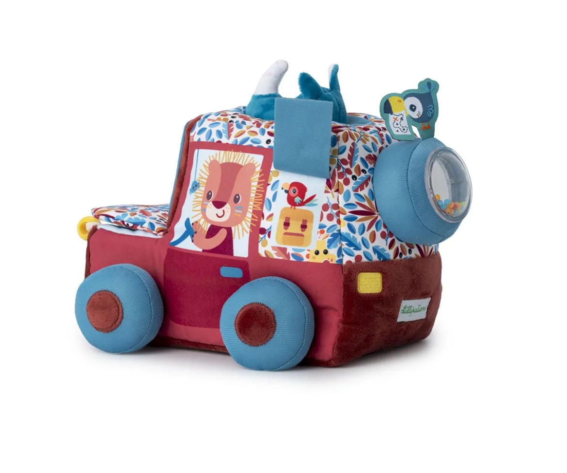 Actividades Safari en Coche