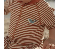 Bañador con Cremallera Ocean Brown Stripes