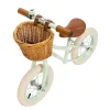 Bicicleta Banwood sin Pedales First Go! Pale Mint