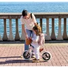 Bicicleta Equilibrio Premium Pink
