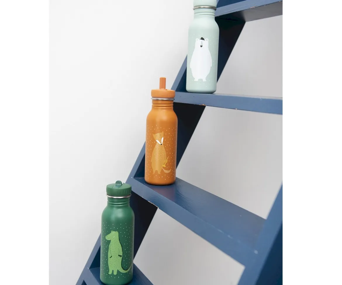 Botella Acero Trixie Mr. Dino 500ml