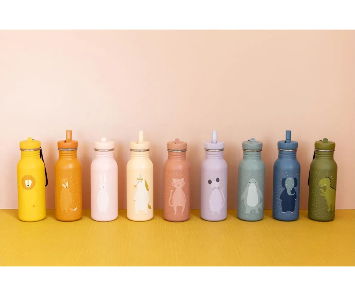Botella Acero Trixie Mr. Fox 500ml