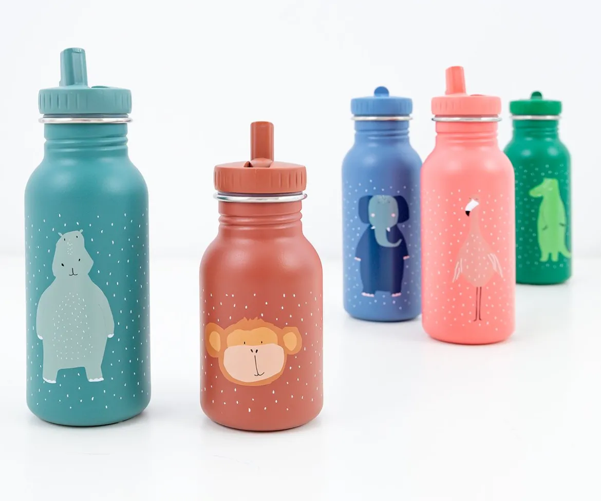 Botella Acero Trixie Mr. Fox 350ml