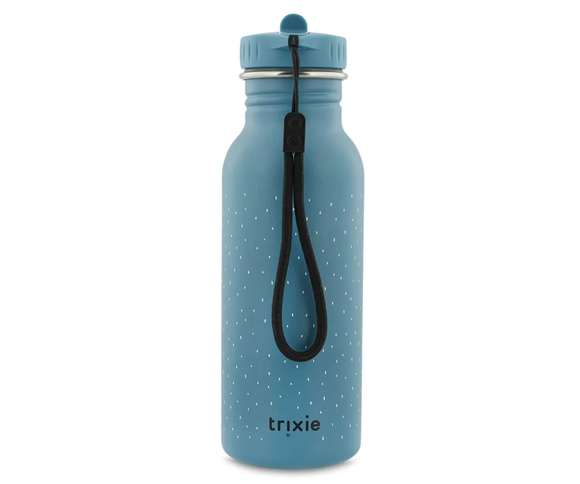 Botella Acero Trixie Mr.Triceratops 500 ml