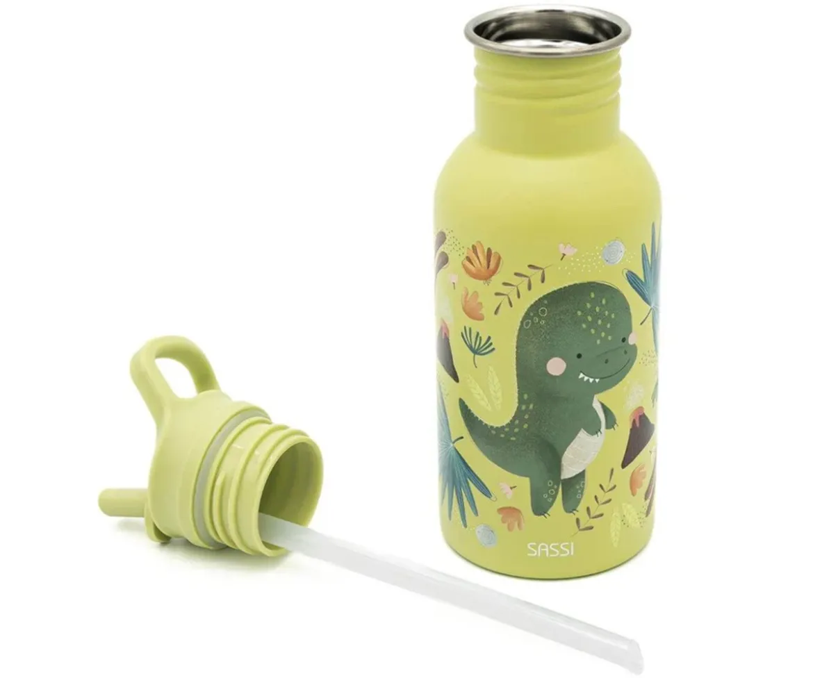 Botella de Acero con Pajita Dinosaurio 500ml