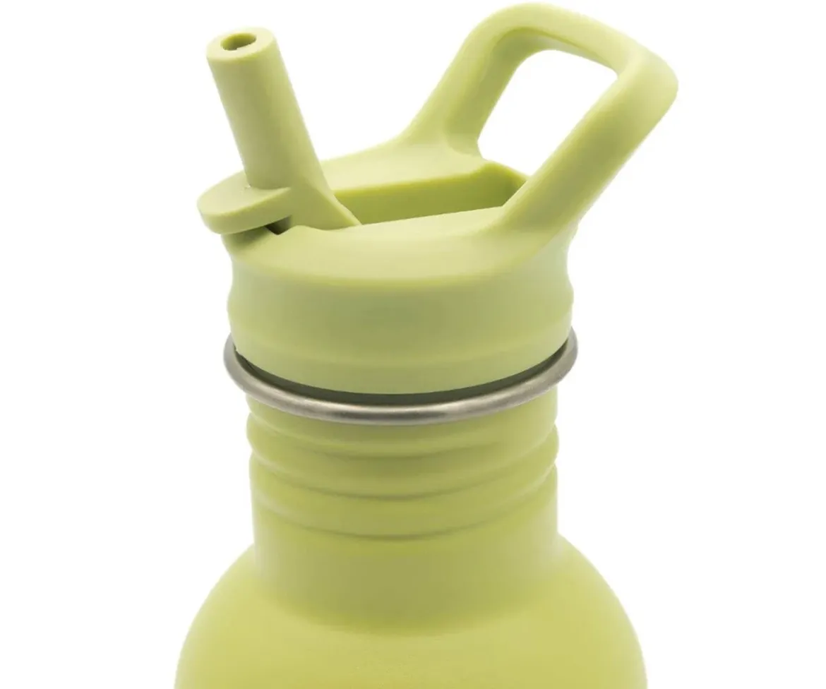 Botella de Acero con Pajita Dinosaurio 500ml
