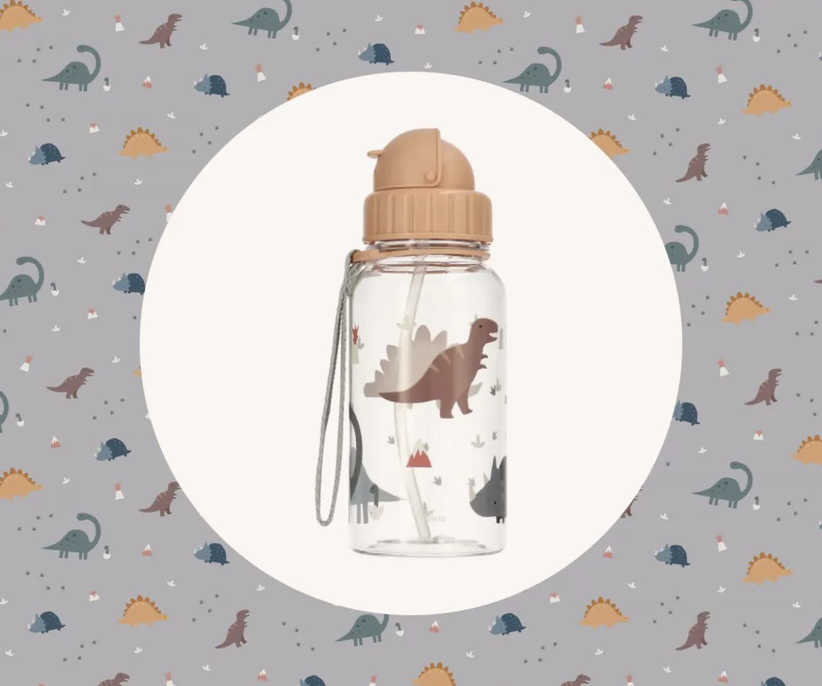 Botella Plástico Dinos World Personalizable