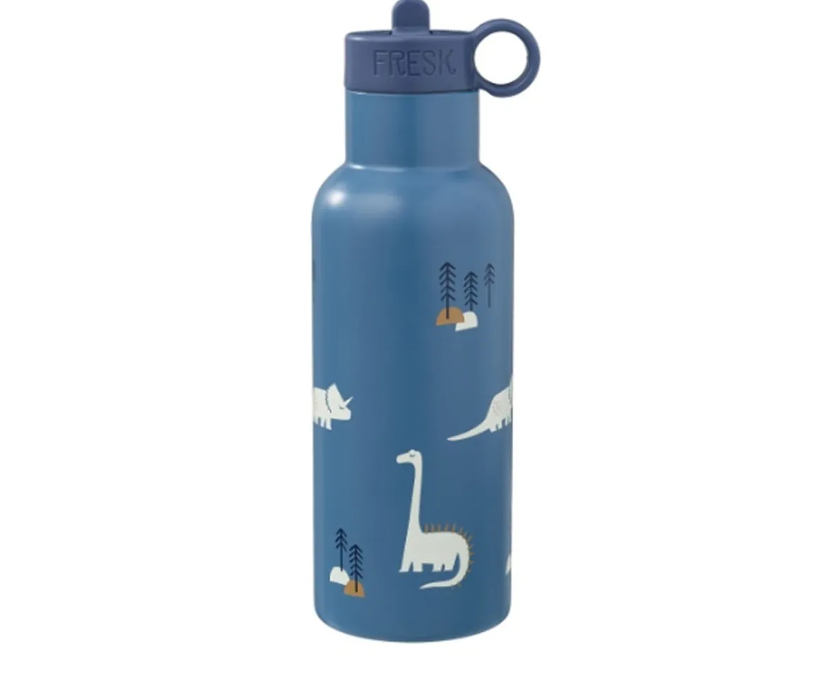 Botella Térmica con Boquilla Recambio Dinosaurio 500ml