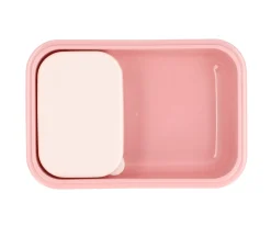 Caja Almuerzo Bento Bugs