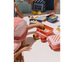 Caja Almuerzo Bento Stripes Blues & Beyond