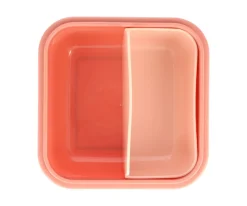 Caja Almuerzo Grande Wild Fairies