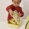 Caja de Almuerzo con Compartimentos Explorer
