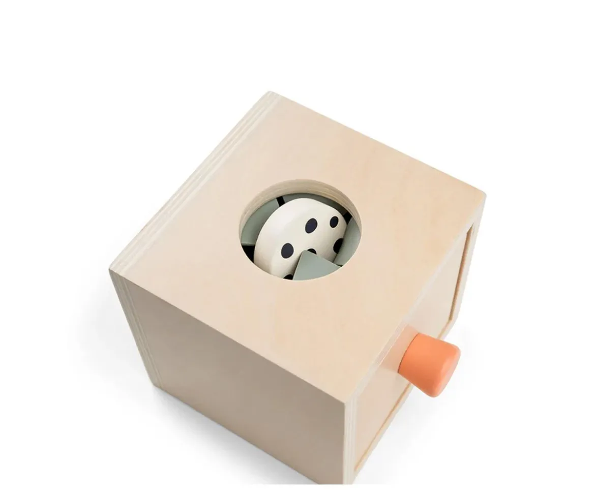 Caja de Madera Sorpresa Nozo Colur Mix