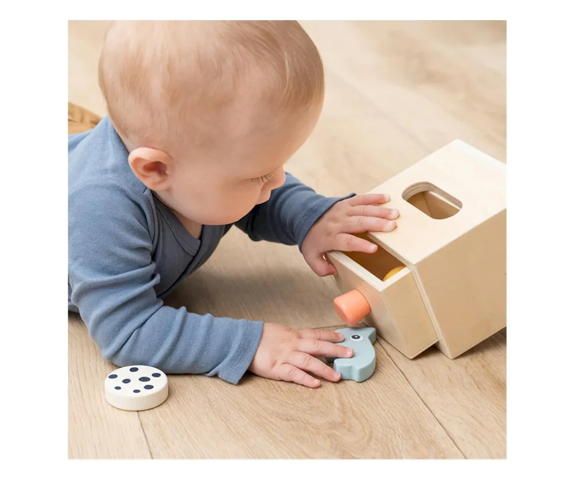 Caja de Madera Sorpresa Nozo Colur Mix