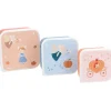 3 Cajas Almuerzo Mouse Fairies