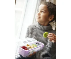 Caja Snackle 4 Compartimentos Pink