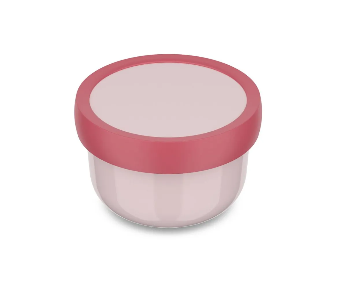 Cajita para Fruta Personalizada Campus Cool Pink Mouse Fairies