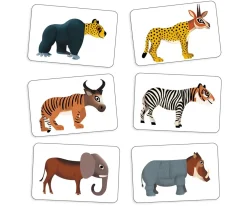 Cartas Anijumble
