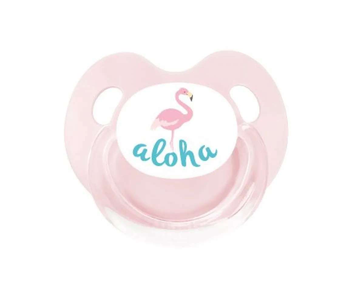 Chupete Retro Flamingo