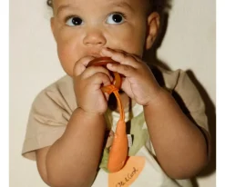 Chupetero Eco Cathy the Carrot