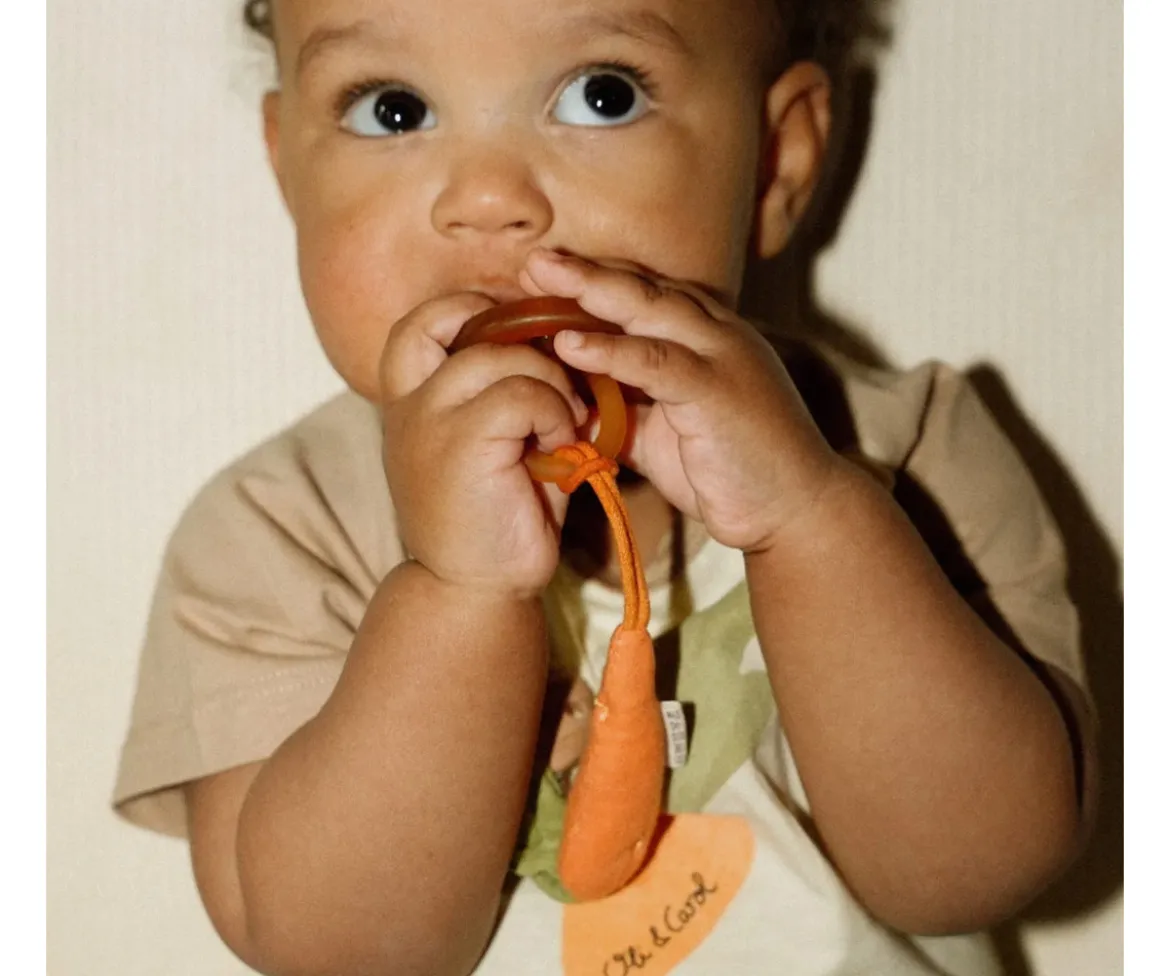 Chupetero Eco Cathy the Carrot