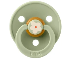 2 Chupetes BIBS Studio Colour Round Jasmine Sage Mix