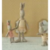 Conejo Micro con Traje de Ballet y Falda Pink