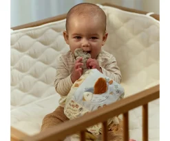 Cubo Blandito de Actividades Safari Friends