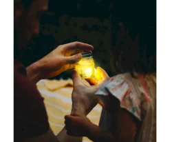 Cubos Iluminados Big Bird
