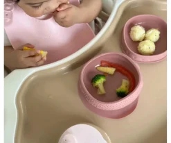 Cuenco de Silicona con Tapa y Ventosa Rasberry