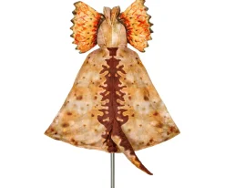 Disfraz Capa Dilophosaurus