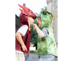 Disfraz Chaleco The All Day Everyday Dragon T.5-6años