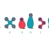 Itsy Pack - Flamingo / Turquoise 18 Piezas