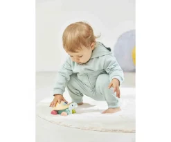Juguete de Arrastre Zigolos Tortuga Sonajero