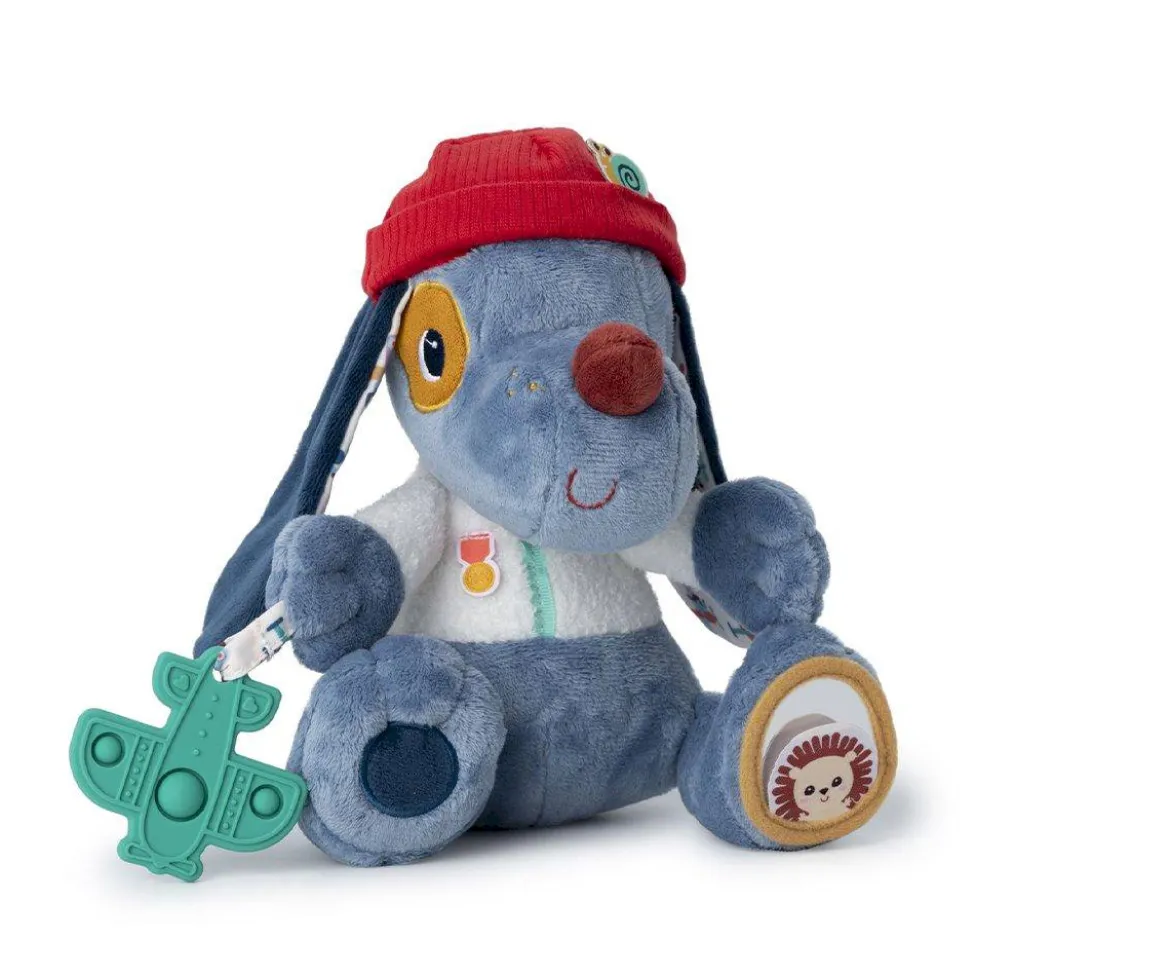 Jules El Perro Multi Actividades