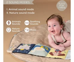 Libro Sensorial Musical