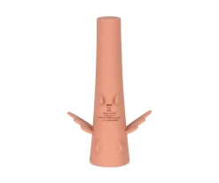 Linterna Dragón Raspberry