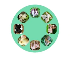 Linterna Proyector Animales Bebés