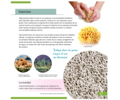 Microscopio Levenhuk LabZZ M101 Azul + Libro Educativo