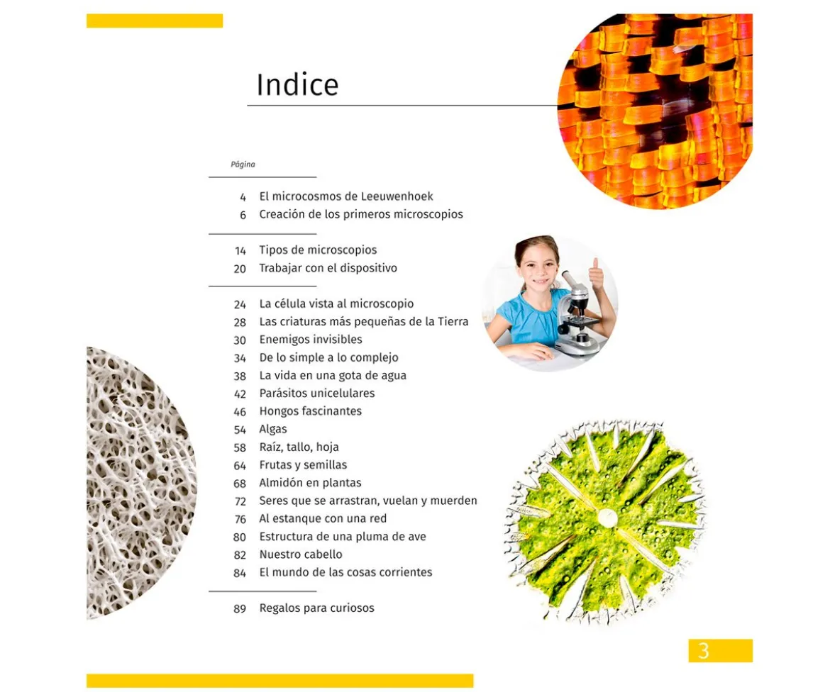 Microscopio Levenhuk LabZZ M101 Gris + Libro Educativo