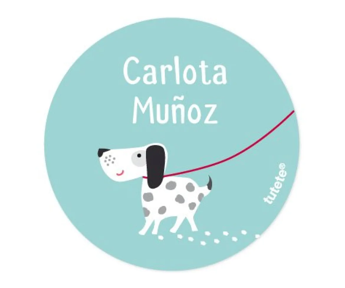 Pack 3 chapas Personalizadas Cerdita