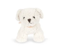 Perrito Madeleine Fiola