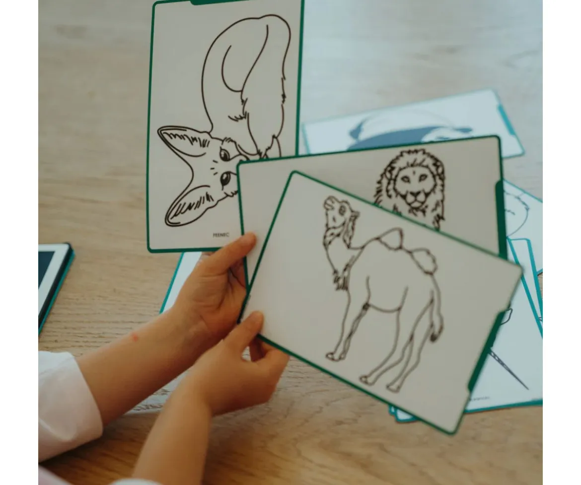 Plantillas KidyDraw Mini Animales, Océanos y Piratas