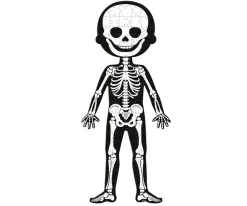 4 Puzles Educativos El Cuerpo Humano