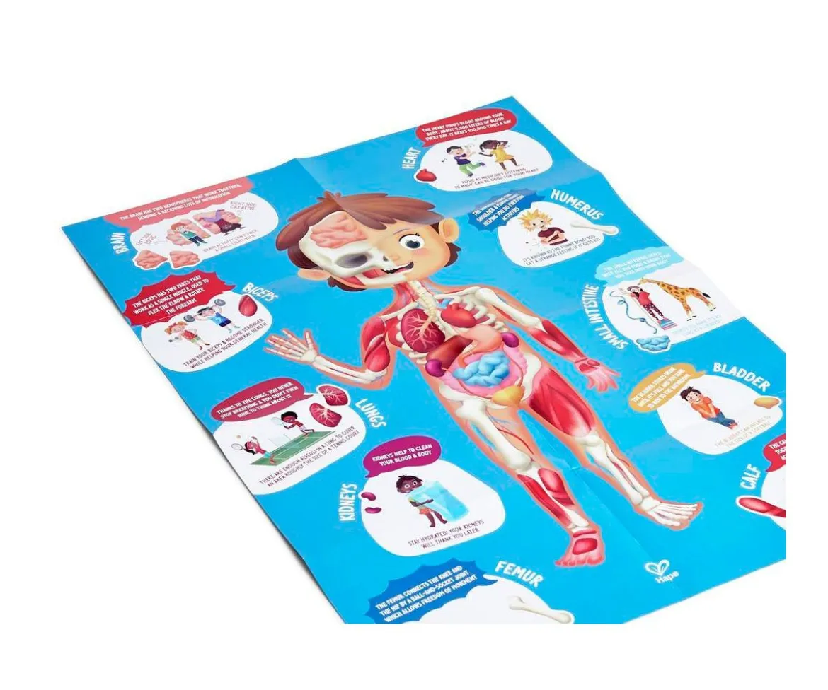 Puzzle Cuerpo Humano