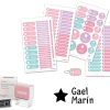 Sello Personalizado Gran Estrella + Combinado Termo y Pegatinas Rosa Estrella