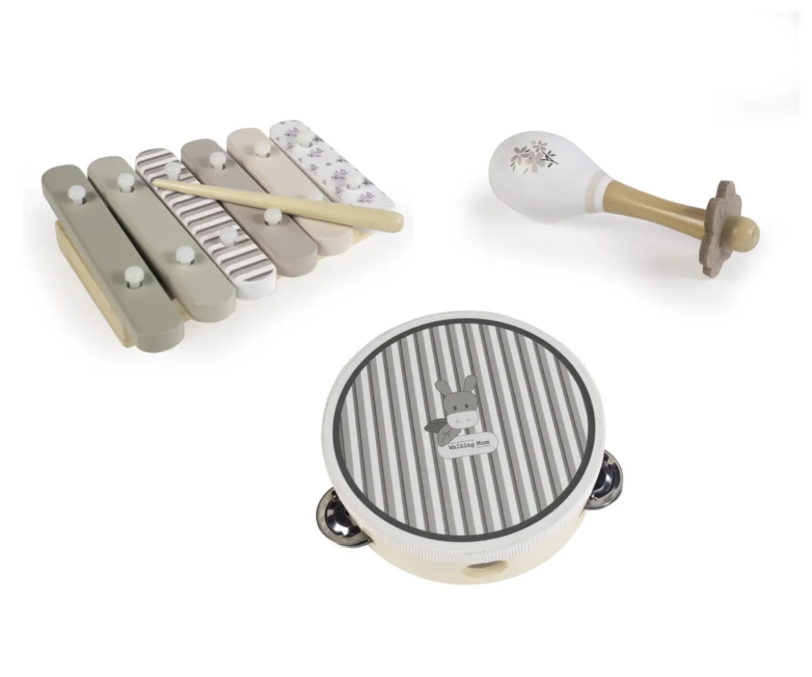 Set Instrumentos Musicales Madera Botton