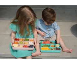 Snackle Box Blue