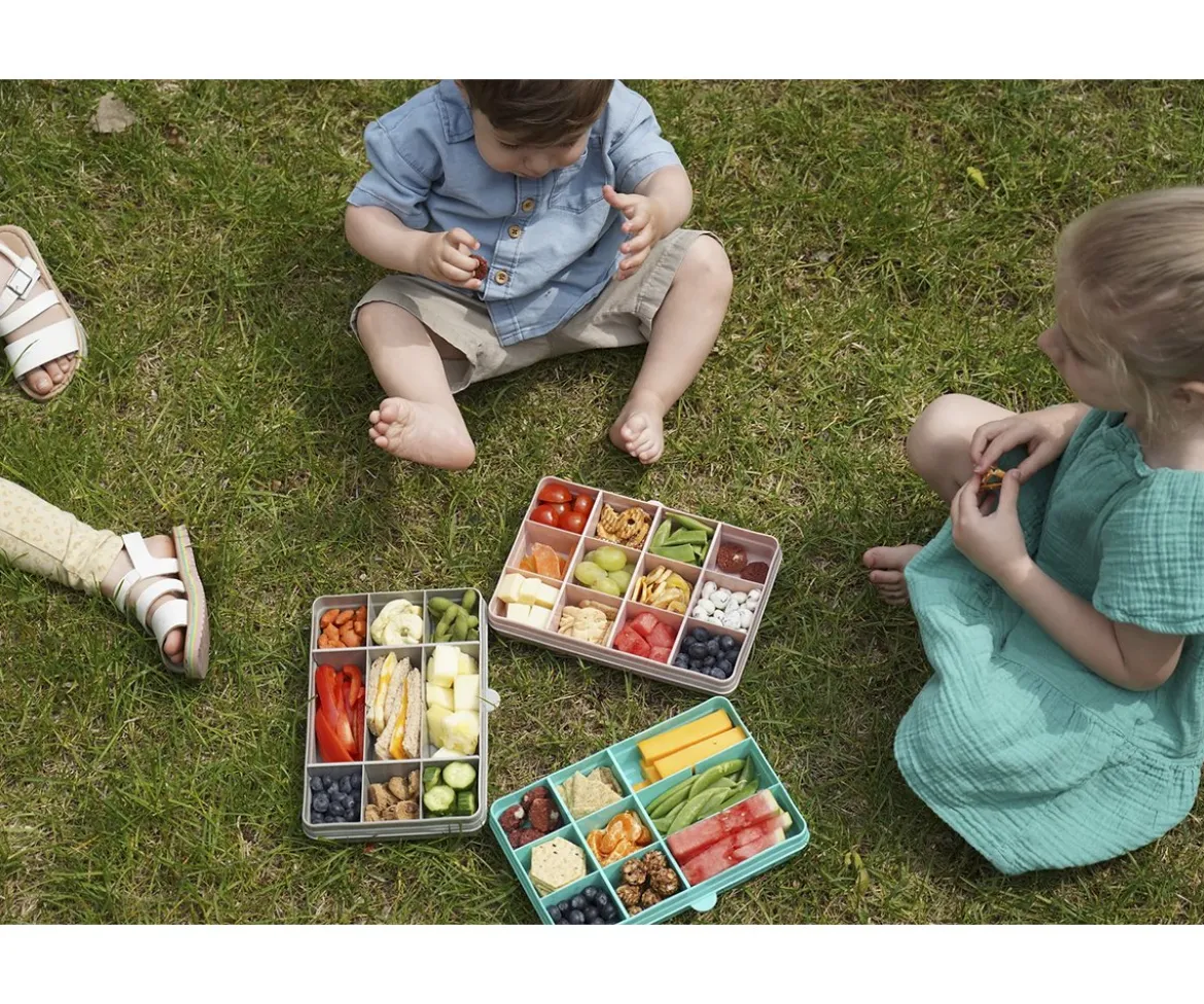 Snackle Box Pink