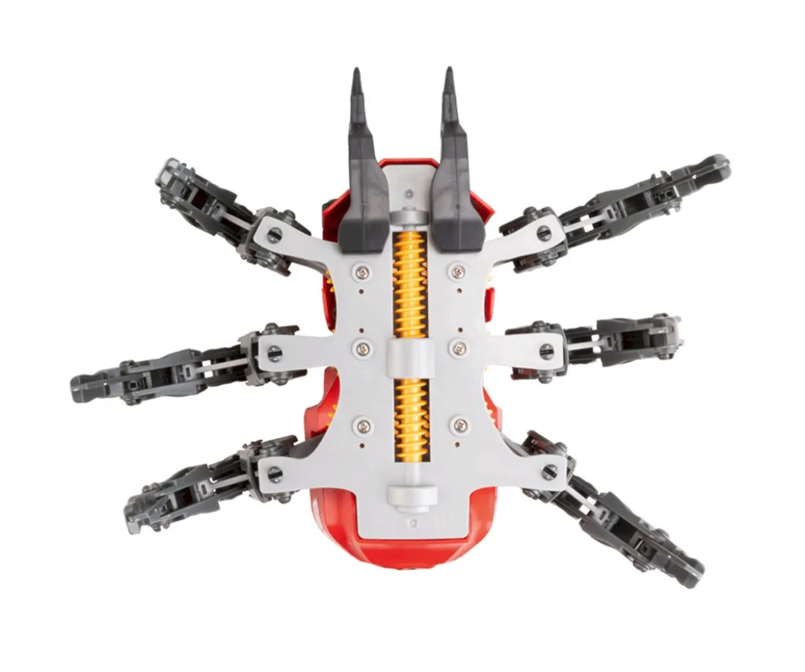 Spider Bot